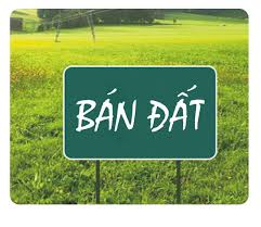 02 (hai) Quyền sử dụng đất của Bà Nguyễn Diệu Thùy Dương. Địa chỉ tài sản: tại Tổ dân phố số 2, thị trấn Vạn Giã, huyện Vạn Ninh, tỉnh Khánh Hòa. 

                                                                       