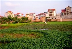 Hà Nội quy định việc quản lý, sử dụng tiền đấu giá đất 